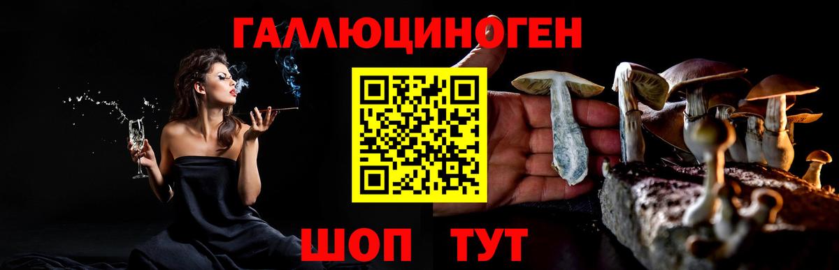 Псилоцибиновые грибы Psilocybe  Вход с VPN  Уссурийск 